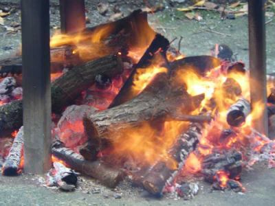 Preme para ver a foto ampliada