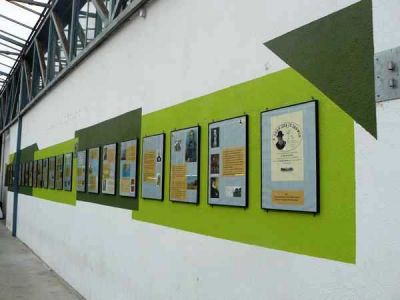 Preme para ver a foto ampliada