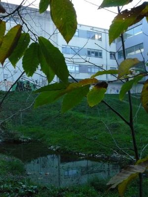 Preme para ver a foto ampliada