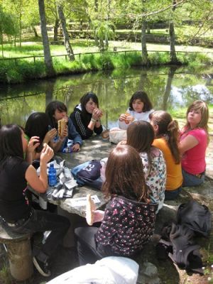 Preme para ver a foto ampliada