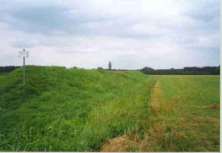 LEAD Technologies Inc. V1.01