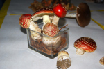 Amanita muscaria