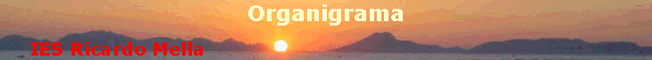 Organigrama