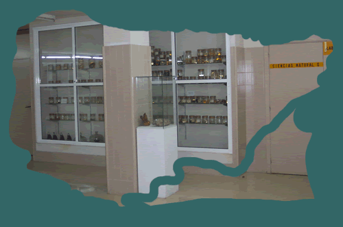 Departamento de ciencias