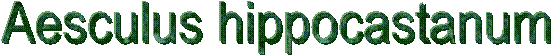 Aesculus hippocastanum