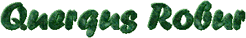 Querqus Robur