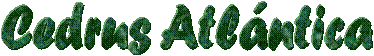 Cedrus Atl�ntica