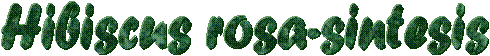 Hibiscus rosa-sintesis
