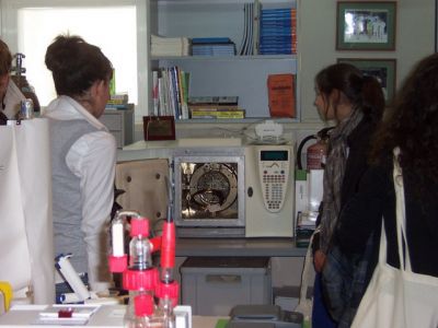 Preme para ver a foto ampliada