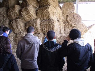 Preme para ver a foto ampliada