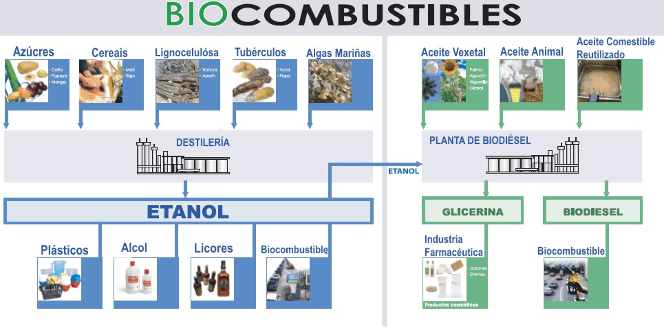 BIOCOMBUSTIBLES