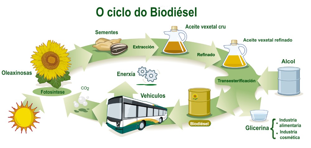 ciclo do biodiesel