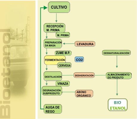 CICLO DO BIOETANOL