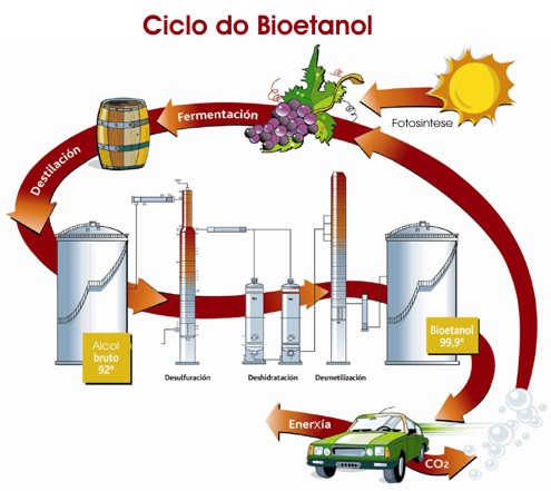ciclo do bioetanol