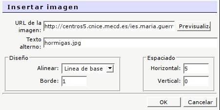 Insertar imagen en los blogs de Moodle