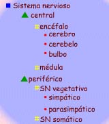 Imagen de un esquema de s&iacute;mbolos seg�n se acaba de describir.