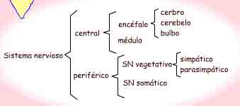 Imagen de un esquema de llaves t�pico seg�n se describe en el texto.