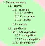 Imagen de un esquema de n&uacute;meros seg�n se describe en el texto