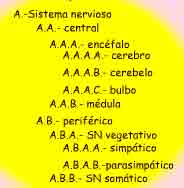 Imagen de un esquema de letras seg�n acabamos de describir en el texto.