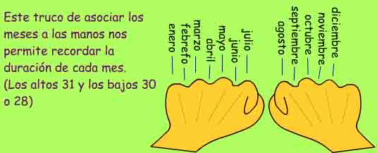 Imagen que ayuda a recordar la duraci�n de los meses fij�ndose en los nudillos de las manos.