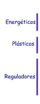 Imagen con las anotaciones de los apartados del texto: energ�ticos, pl�sticos, reguladores.