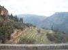 Delfos_ExcursionGreciaFeb2007_019.jpg