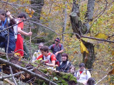 Preme para ver a foto ampliada