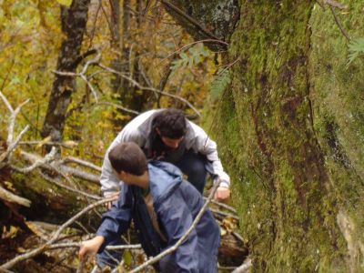 Preme para ver a foto ampliada