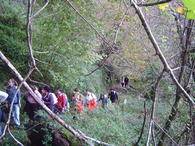 Preme para ver a foto ampliada