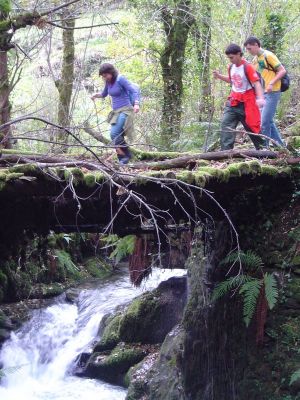 Preme para ver a foto ampliada