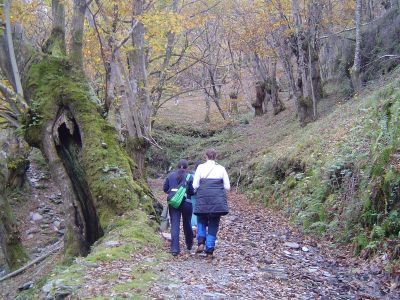 Preme para ver a foto ampliada