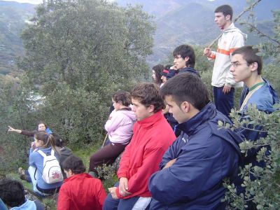 Preme para ver a foto ampliada