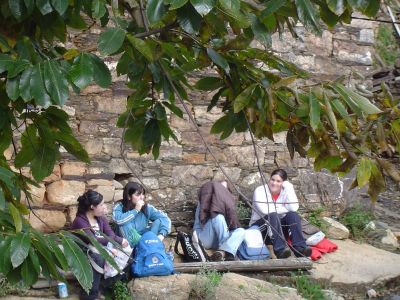 Preme para ver a foto ampliada