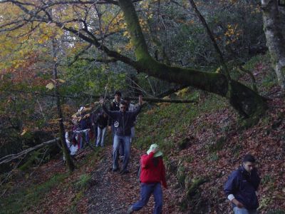 Preme para ver a foto ampliada
