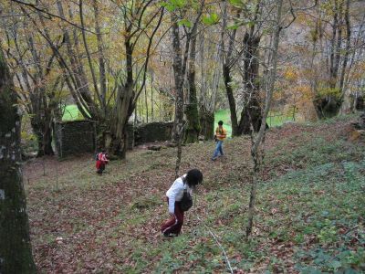 Preme para ver a foto ampliada