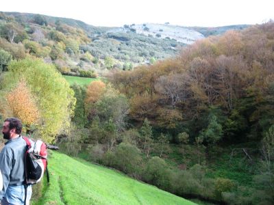 Preme para ver a foto ampliada