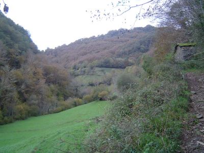 Preme para ver a foto ampliada