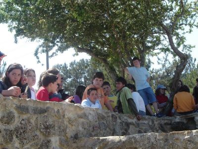 Preme para ver a foto ampliada