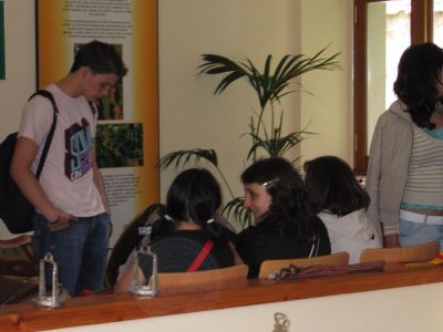 Preme para ver a foto ampliada