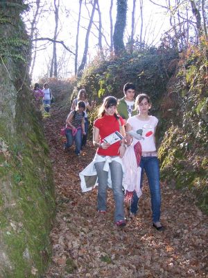 Preme para ver a foto ampliada