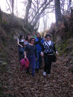 Preme para ver a foto ampliada