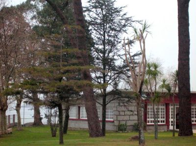 Preme para ver a foto ampliada