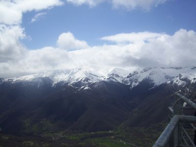 Preme para ver a foto ampliada