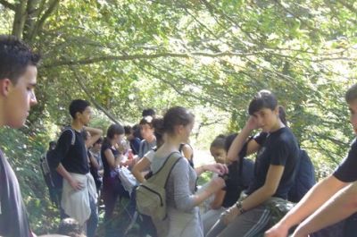 Preme para ver a foto ampliada