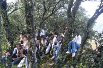 Preme para ver a foto ampliada