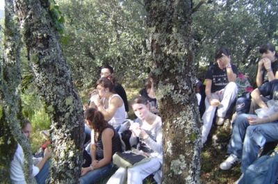 Preme para ver a foto ampliada