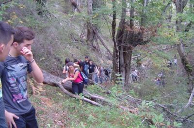 Preme para ver a foto ampliada