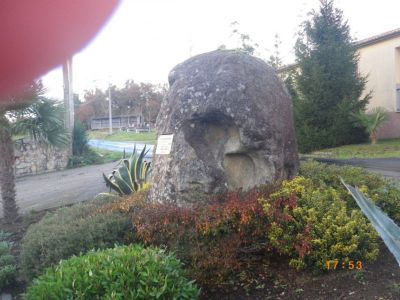 Preme para ver a foto ampliada