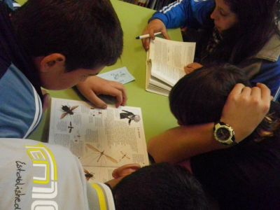 Preme para ver a foto ampliada