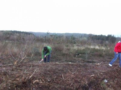 Preme para ver a foto ampliada